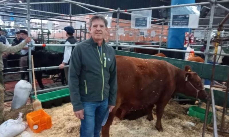 Una cabaa de Recalde debut en la Exposicin Angus de Otoo
